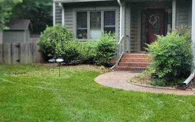 Photo of Meenu K.'s yard after getting lawn care in Glen Allen, VA