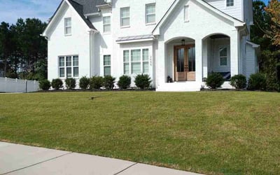 Photo of Abby B.'s yard after getting lawn care in Hillsborough, NC