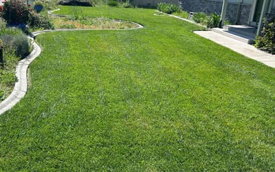 Photo of Gordon Y.'s yard after getting lawn care in Rocklin, CA