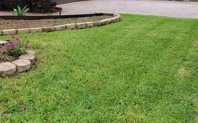 Photo of Susan C.'s yard after getting lawn care in Belle Glade, FL