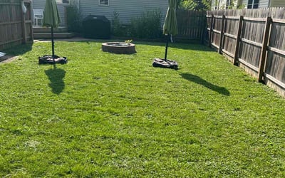Photo of Barbara A.'s yard after getting lawn care in Lansing, MI