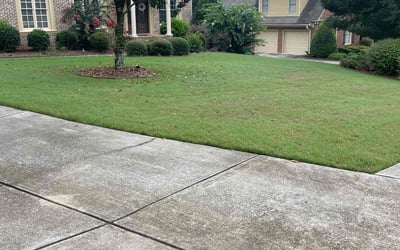 Photo of David C.'s yard after getting lawn care in Suwanee, GA