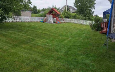 Photo of Kennady T.'s yard after getting lawn care in Clarksville, TN