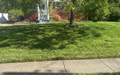 Photo of Tim C.'s yard after getting lawn care in Fairfax Station, VA