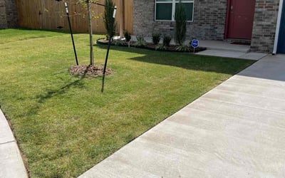 Photo of Ashley M.'s yard after getting lawn care in Edmond, OK