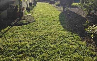 Photo of EDUARDO T.'s yard after getting lawn care in Olympia, WA