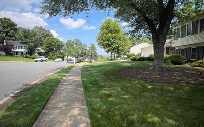 Photo of David M.'s yard after getting lawn care in Yorktown, VA