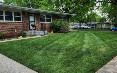 Photo of Frederica M.'s yard after getting lawn care in Sullivan, MO