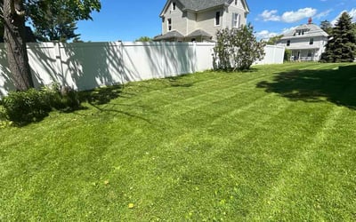 Photo of Henry G.'s yard after getting lawn care in Manchester, CT