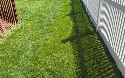 Photo of Minerva V.'s yard after getting lawn care in Fairfield, OH