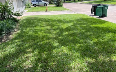Photo of Virginia R.'s yard after getting lawn care in San Benito, TX