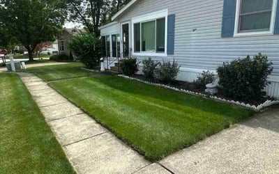 Photo of Jolene S.'s yard after getting lawn care in Mount Airy, MD