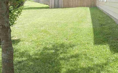 Photo of Sharon S.'s yard after getting lawn care in Blacklick, OH