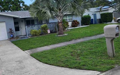 Photo of Laurie E.'s yard after getting lawn care in Largo, FL