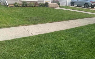 Photo of Gia S.'s yard after getting lawn care in Menomonee Falls, WI