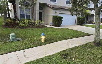 Photo of Cathy T.'s yard after getting lawn care in Pembroke Pines, FL