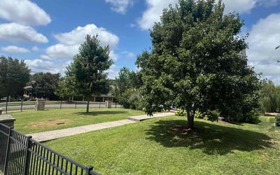 Photo of Stan D.'s yard after getting lawn care in Belleville, MI