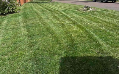 Photo of Stanton B.'s yard after getting lawn care in Overland Park, KS