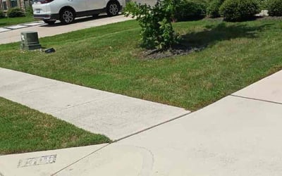 Photo of Tyzhanaia H.'s yard after getting lawn care in York, PA