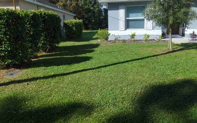 Photo of Tracy R.'s yard after getting lawn care in Holly Hill, FL