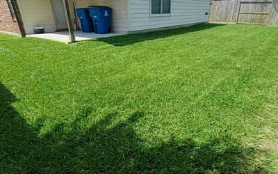 Photo of Kaley M.'s yard after getting lawn care in Bryan, TX