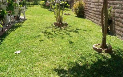 Photo of Ken P.'s yard after getting lawn care in San Dimas, CA