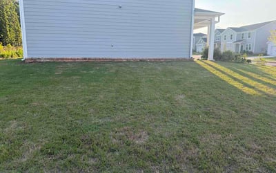 Photo of Linda C.'s yard after getting lawn care in Newport, KY