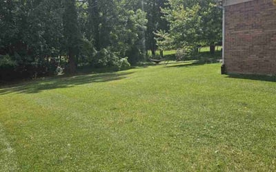 Photo of Anthony W.'s yard after getting lawn care in Jackson, MI