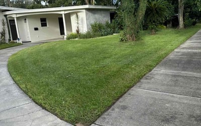Photo of Franklin I.'s yard after getting lawn care in Four Corners, FL