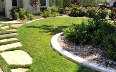Photo of Susan Y.'s yard after getting tree care in Truckee, CA