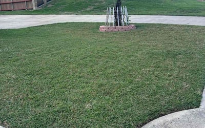 Photo of Brandi C.'s yard after getting lawn care in Copperas Cove, TX