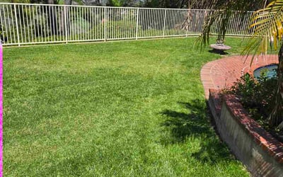 Photo of Curt T.'s yard after getting lawn care in San Dimas, CA