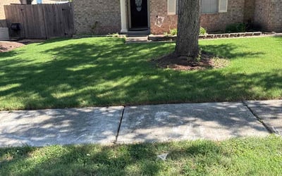 Photo of Abigail P.'s yard after getting lawn care in Torrance, CA
