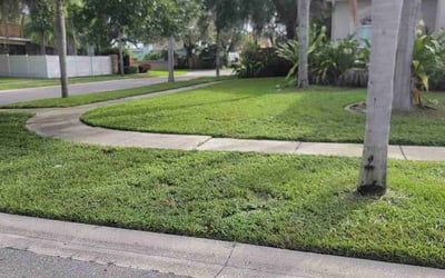Photo of David M.'s yard after getting lawn care in Glen Cove, NY