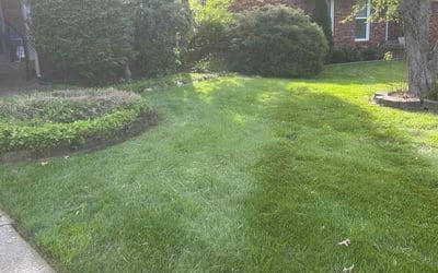 Photo of Kathi W.'s yard after getting lawn care in Crestwood, KY