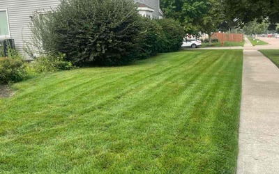 Photo of Sandeep S.'s yard after getting lawn care in Warminster, PA