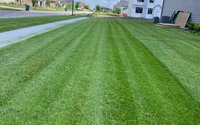 Photo of Mary H.'s yard after getting lawn care in Boulder Hill, IL