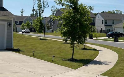 Photo of Willie H.'s yard after getting lawn care in Mishawaka, IN