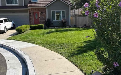 Photo of Carol J.'s yard after getting lawn care in Colorado Springs, CO