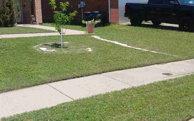 Photo of Sarah J.'s yard after getting lawn care in Queens Village, NY