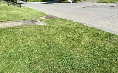 Photo of Angela P.'s yard after getting lawn care in Hermitage, PA