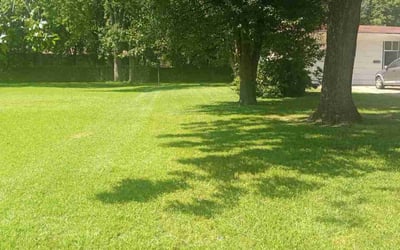 Photo of Gary P.'s yard after getting lawn care in Jackson, MS