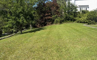 Photo of Annie L.'s yard after getting lawn care in Columbia, SC