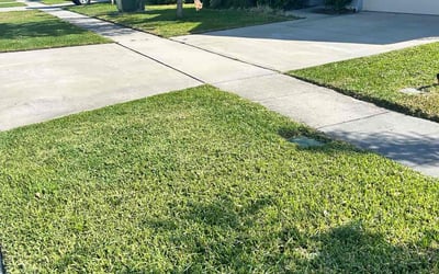 Photo of Cristian P.'s yard after getting lawn care in Edgewater, FL