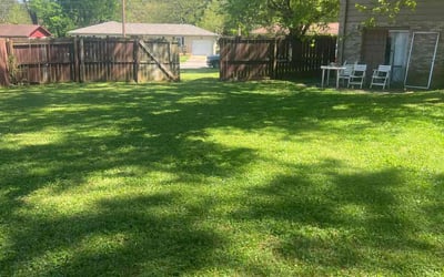 Photo of Michelle B.'s yard after getting lawn care in Norfolk, VA