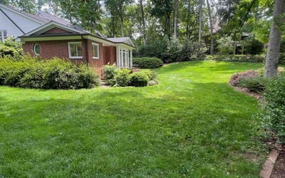 Photo of Mike L.'s yard after getting lawn care in Orange, CT