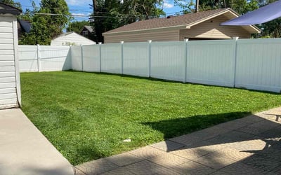 Photo of Valerie A.'s yard after getting lawn care in Detroit, MI