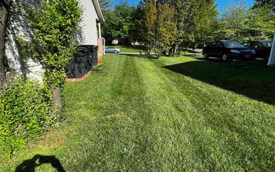 Photo of Nancy R.'s yard after getting lawn care in Manassas, VA