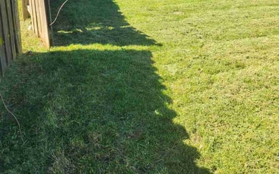 Photo of Melany W.'s yard after getting lawn care in East Saint Louis, IL
