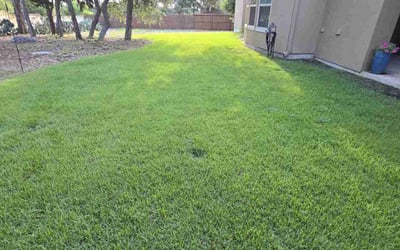 Photo of Christina C.'s yard after getting lawn care in Poteet, TX